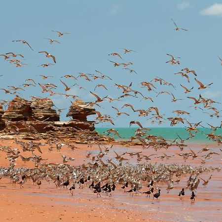 Broome Bird Observatory Zewnętrze zdjęcie