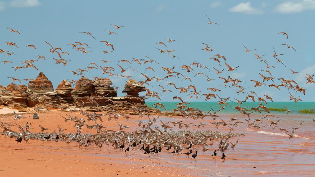 Broome Bird Observatory Zewnętrze zdjęcie